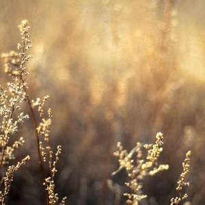 女毛片10岁亚洲
